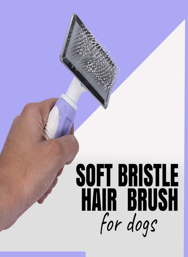 فولي فرشاة تنظيف شعر الحيوانات الأليفة ذاتية التنظيف بالكامل للكلاب والقطط والجراء | أداة إزالة شعر الحيوانات الأليفة | فرش تنظيف الشعر لجميع الحيوانات الأليفة (عبوة من قطعة واحدة) - Image 4